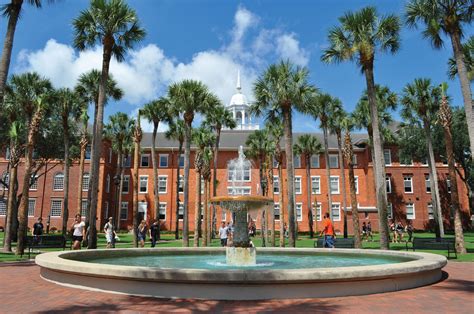 stetson university